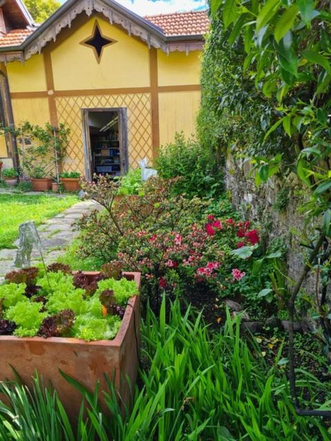 Ca Balossa, Tremezzina Lago Di Como Davanti A Bellagio E Villa Balbianello ميزّيجرا المظهر الخارجي الصورة